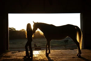 Silhouette of a woman standing next to a horse inside an open barn doorway, backlit by warm golden sunset light.